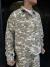 Campera Diamond Beige - Cestlavie - Indumentaria Masculina 