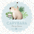 Kit imprimible capybara carpincho party celeste varón niño - tienda online