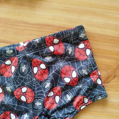 Sunga- Homem Aranha na internet