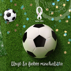 Imagen de KIT IMPRIMIBLE Mundial Argentina Qatar 22