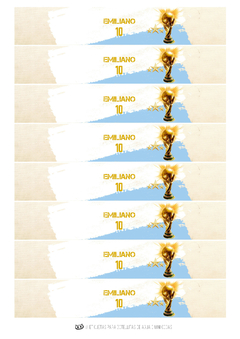 KIT IMPRIMIBLE Argentina Tri Campeón on internet