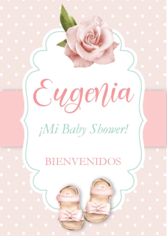 KIT IMPRIMIBLE BABY SHOWER GIRL na internet