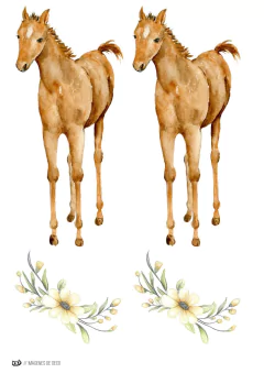Image of KIT IMPRIMIBLE CABALLITO NENE