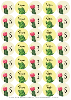 Imagen de Kit imprimible Cactus para nena