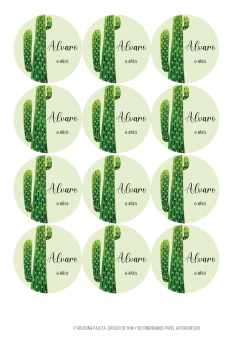 Kit imprimible Cactus para nene