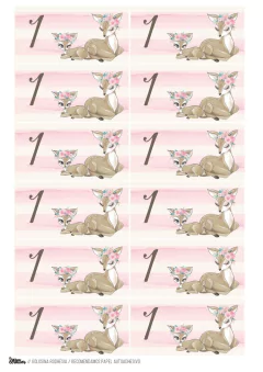 KIT IMPRIMIBLE CIERVITAS SHABBY