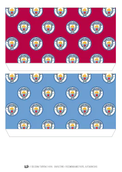 KIT IMPRIMIBLE Manchester City Julián Alvarez - comprar online