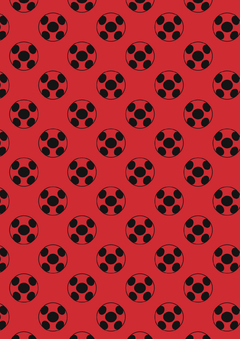 Imagen de Kit imprimible Miracolous Ladybug
