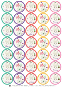 KIT IMPRIMIBLE LLAMAS COLORIDAS - loja online