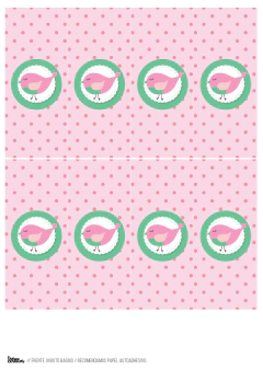Kit imprimible Pajaritos para nena - Tres Cerditos Kits Imprimibles