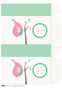 Imagen de Kit imprimible Pajaritos para nena