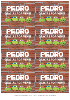 Kit imprimible Tortugas Ninja - Tres Cerditos Kits Imprimibles