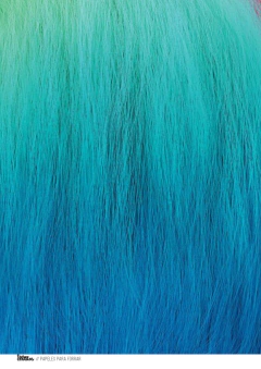 Imagen de Kit imprimible Trolls