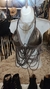 Top Medusa - loja online