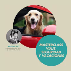 MASTERCLASS VIAJES en internet