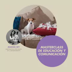 EDUCACIÓN Y COMUNICACIÓN en internet