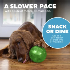 Imagen de Pelota Laberinto Dispenser OH