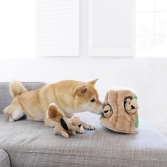 Encuentra las Ardillas OH - tienda online