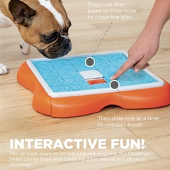 Rompecabezas Deslizante OH - Patita Patita Adiestramiento