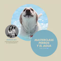 LOS PERROS Y EL AGUA en internet