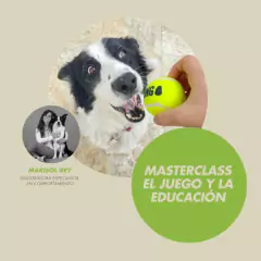 EL JUEGO Y LA EDUCACIÓN en internet