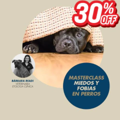 MASTERCLASS MIEDOS Y FOBIAS EN PERROS en internet