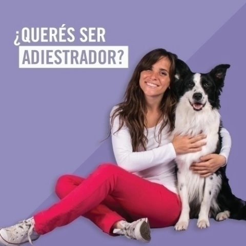 ¿Querés ser adiestrador? - comprar online