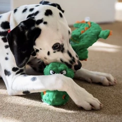 Cocodrilo Juancho - comprar online