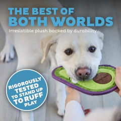 Palta Piel Dura OH Medium - Patita Patita Adiestramiento