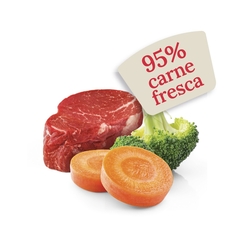 PALITOS | CARNE - tienda online