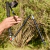 Imagen de Z-COMPACT VARIO COMPOSITE CARBON LITE · PAR · ULTRA 100K + SERIES · WEIS