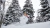 Tabla de snowboard Team 159 cm • S24 • Nitro en internet