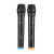 MICROFONO X2 INALAMBRICO PROFESIONAL NETMAK NM-MC18