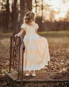 Vestido Infantil Princesa Classico Bordado - loja online