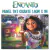 Encanto Princesa Disney Mirabel Painel Gigante TNT Festa Aniversário 1,40m x 1,0m - comprar online