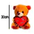 Urso Marrom de Pelúcia Fofinho Coracao Te Amo 20cm na internet