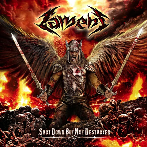 LAMENT: Shot Down but Not Destroyed - comprar online