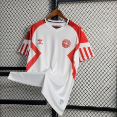 Camisa Dinamarca II 23/24 Torcedor Masculina - Branco - Skull Sports