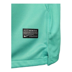 Camisa Retrô Barcelona II 10/11 - Masculina Nike - Verde en internet