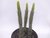 EUPHORBIA BAIOENSIS POTE 11