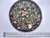 FEROCACTUS STAINESII POTE 11 na internet