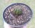 CÓD. 106C - NOTOCACTUS CAMPESTRENSIS PT 11