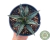 AGAVE VITORIA REGINAE POTE 11