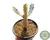 EUPHORBIA LACTEA WHITE GHOST POTE 14 na internet