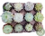 KIT COM 12 ECHEVERIAS POTE 9 (4,50 a unidade) na internet