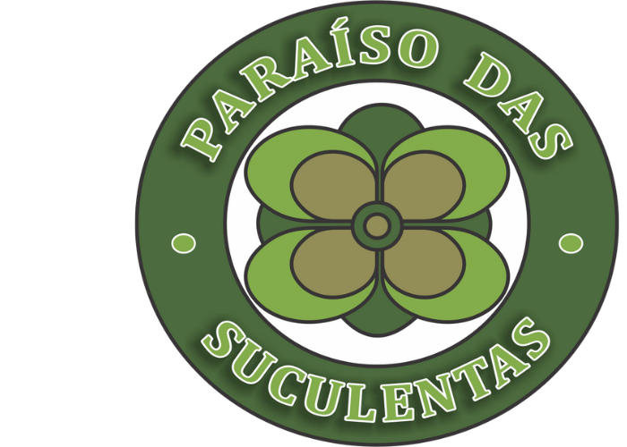 Paraíso das Suculentas I As mais lindas suculentas para sua coleção!