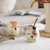 Mate gatito