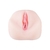 Vibrating Pet Pussy en internet