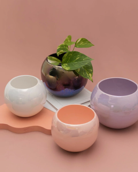 Perla Maceta Nacarada - comprar online