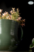 Maceta y Portamacetas Verde - comprar online